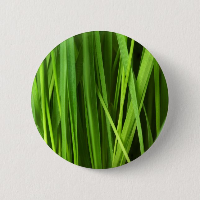 Grasstrahlen Button (Vorderseite)