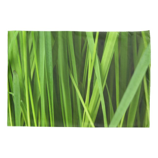 Grasstrahlen Kissenbezug (Rückseite)