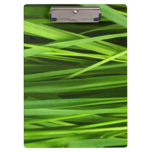 Grasstrahlen Klemmbrett