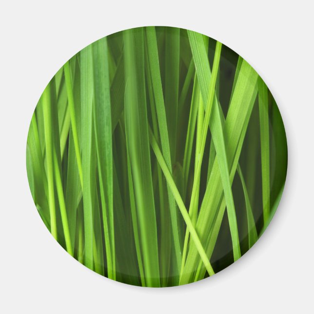 Grasstrahlen Magnet (Vorne)