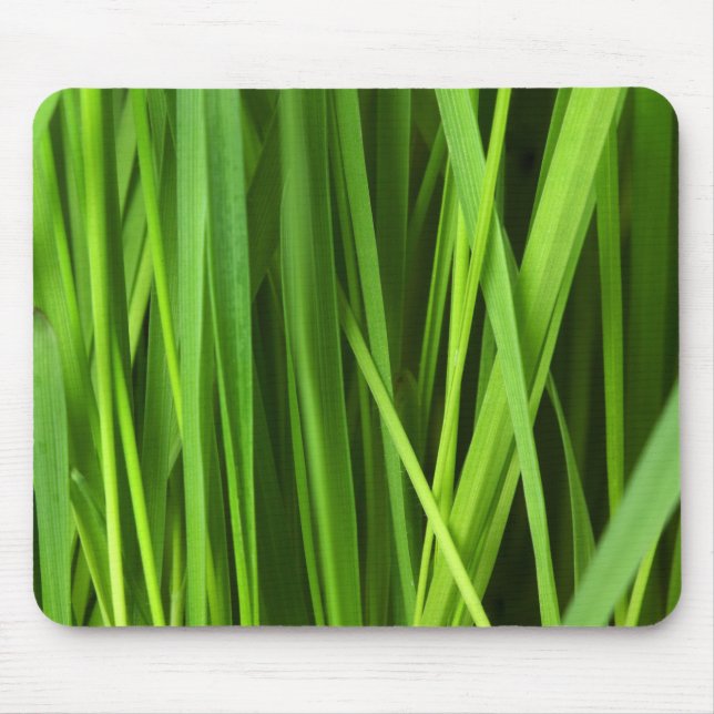 Grasstrahlen Mousepad (Vorne)
