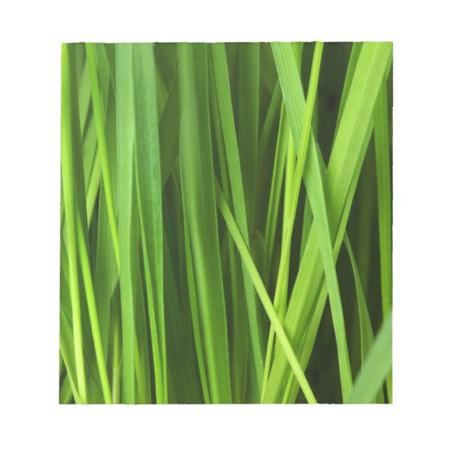 Grasstrahlen Notizblock (Vorderseite)