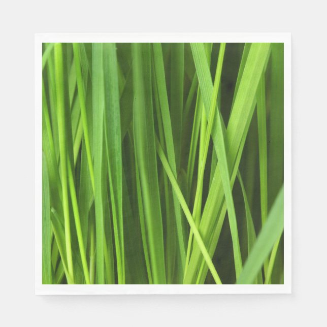 Grasstrahlen Serviette (Vorderseite)