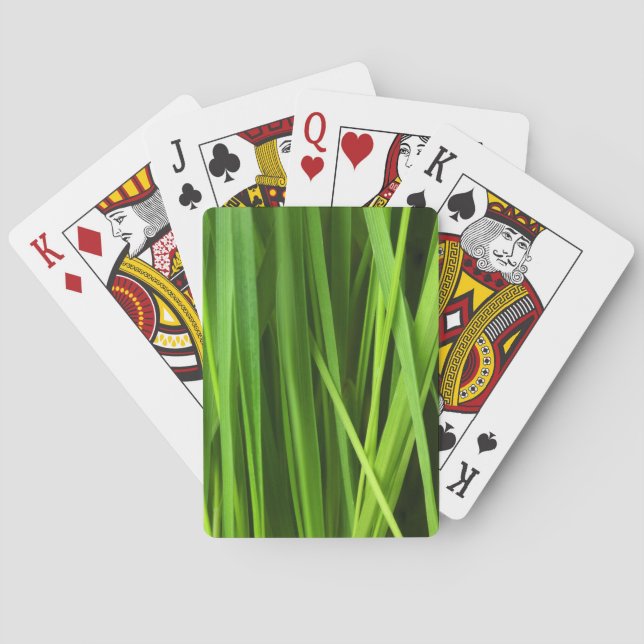 Grasstrahlen Spielkarten (Rückseite)