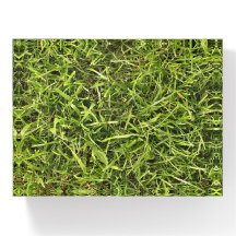 Grassy Knoll