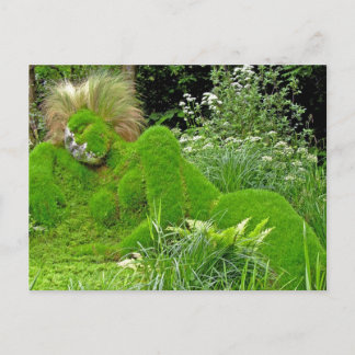 Grasweibchen Postkarte