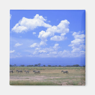 grasy Schlicht Magnet