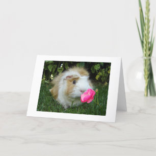 GRATEFUL GERBIL GLÜCKLICH IST ES "DEIN" GEBURTSTAG KARTE