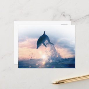 Gratis-Delphin Postkarte