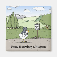 Gratis-Roaming Hühnchen Funny Wandern Hühnchen Car