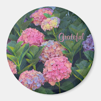 Gratitude Hydrangea Magnet