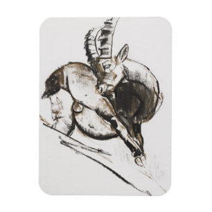 Grattarsi Magnet