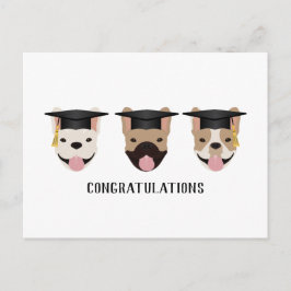 Gratulation an French Bulldogs Postkarte