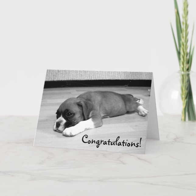 Gratulation Boxer Dog Grußkarte Karte (Vorderseite)