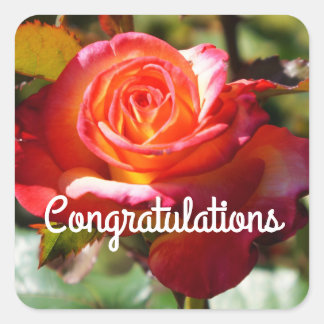 Gratulation Dream Come True Rose #2 Aufkleber