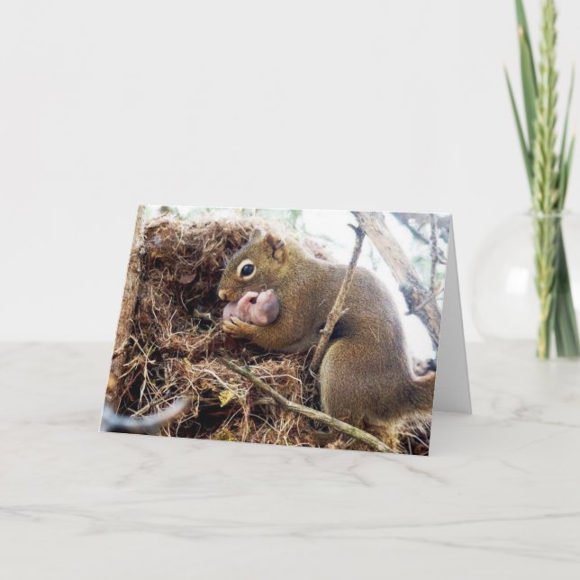 Gratulation Neue Mommy Baby Card Feiertagskarte (Vorderseite)