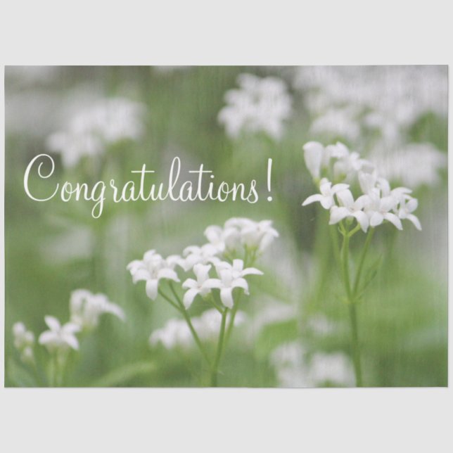 Gratulation Tissue Papaer Seidenpapier (Vorderseite)