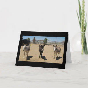 Gratulation Veterinary Graduate - Ranch Farm Karte