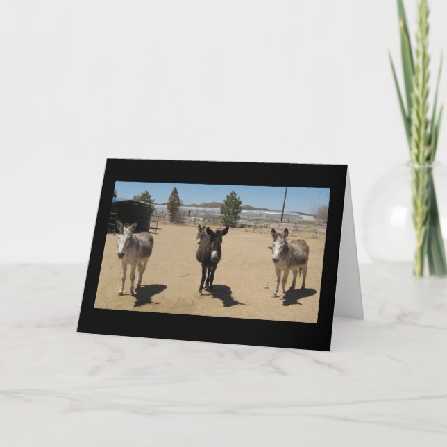 Gratulation Veterinary Graduate - Ranch Farm Karte (Vorderseite)