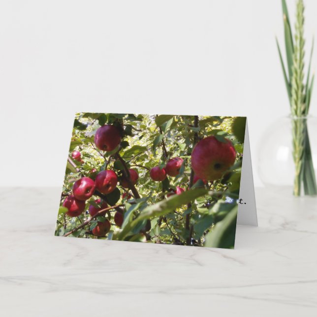Gratulatorkarte "Apfelbaum" Karte (Vorderseite)
