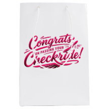Gratuliere zum bestandenen Checkride!