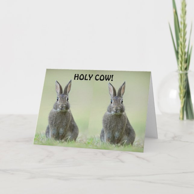 **GRATULIERUNG DES UNI-GRADUATS** KARTE (Vorderseite)