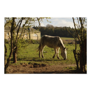Grau an Tarvit Bauernhof Fotodruck