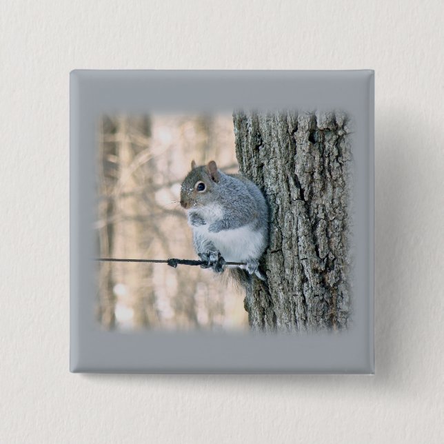 Grau-Eichhörnchen - Sciurus carolinensis Button (Vorderseite)