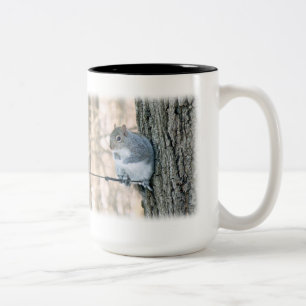 Grau-Eichhörnchen - Sciurus carolinensis Zweifarbige Tasse