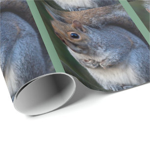 Grau-Eichhörnchen-Wrapping Paper Geschenkpapier