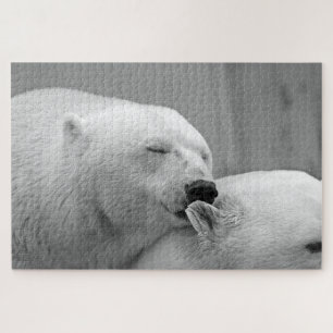 Grau-Eisbären-Foto Puzzle