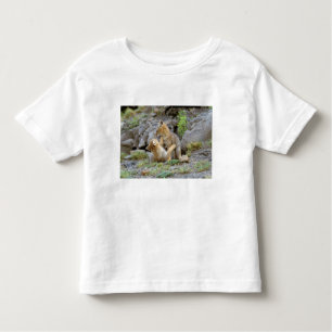Grau-Fox-Paar (Lycalopex griseus) 2 Kleinkind T-shirt