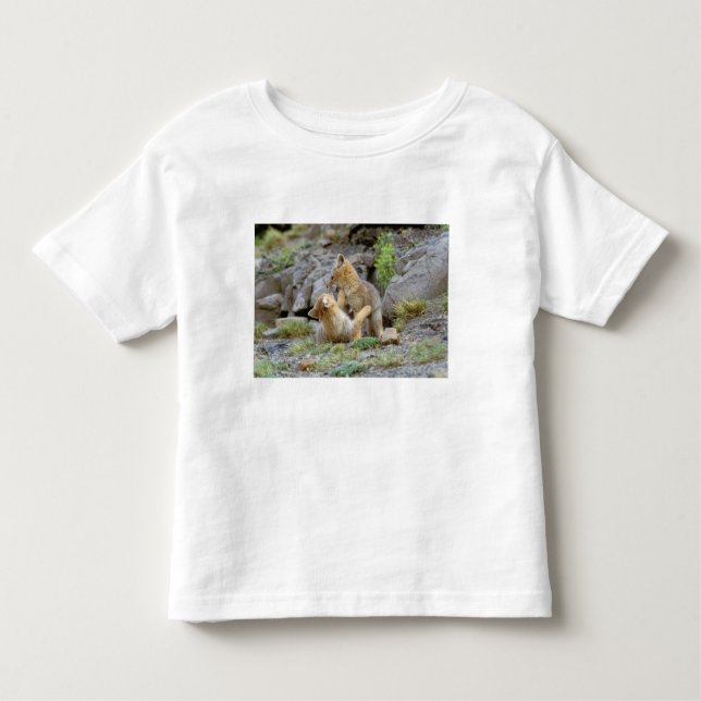 Grau-Fox-Paar (Lycalopex griseus) 2 Kleinkind T-shirt (Vorderseite)