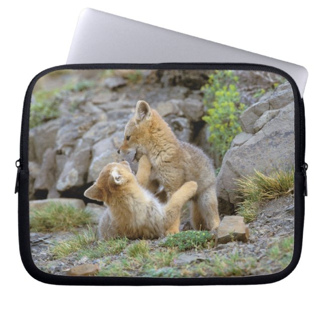 Grau-Fox-Paar (Lycalopex griseus) 2 Laptopschutzhülle (Vorderseite)