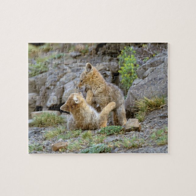 Grau-Fox-Paar (Lycalopex griseus) 2 Puzzle (Horizontal)