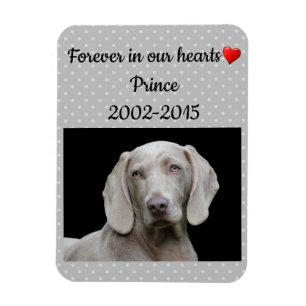 Grau für immer in unserem Hearts Pet Memorial Magnet