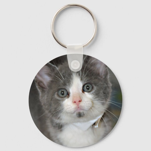 Grau/Grau/Silber und White Kitten Schlüsselanhänge Schlüsselanhänger (Vorderseite)