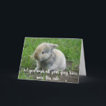 Grau Hair Funny Age Bunny Birthday Karte<br><div class="desc">Dieses Design wurde mithilfe von digitaler Kunst erstellt und kann in dem Bereich personalisiert sein, der zur Verfügung gestellt wird, oder indem Sie den Klick wählen, um weitere Optionen anzupassen und den Namen, die Initialen oder die Wörter zu ändern. Sie können auch die Textfarbe und den Textstil ändern oder den...</div>