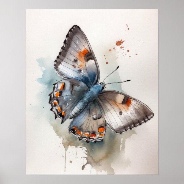 Grau Hairstreak Butterfly Art Print Poster (Vorne)