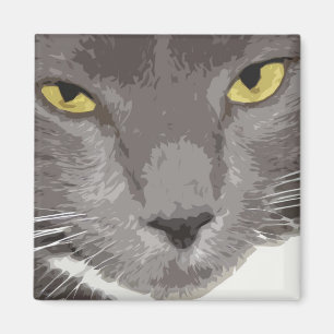 Grau-Katzengesicht Magnet