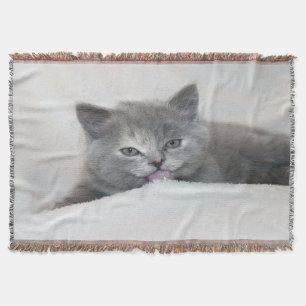 Grau Kitten Licking Snow Decke