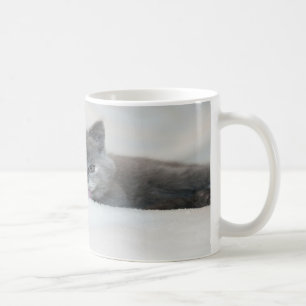 Grau Kitten Licking Snow Kaffeetasse