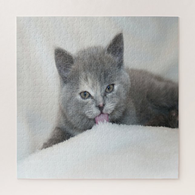 Grau Kitten Licking Snow Puzzle (Vertikal)