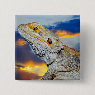 Grau Lizard bei Sonnenuntergang Button