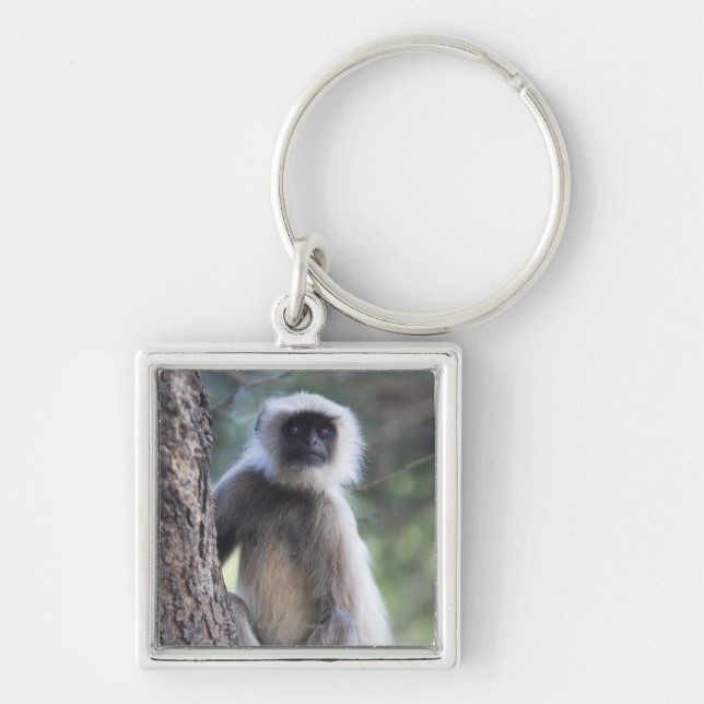 Grau oder Common oder Hanuman Langur Schlüsselanhänger (Vorne)