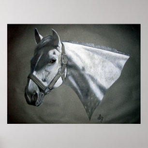 Grau on Gray Equine Art Poster