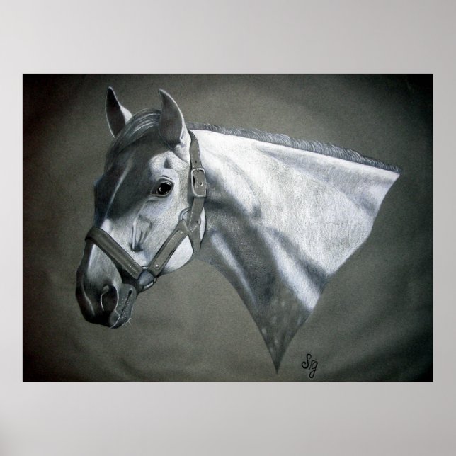 Grau on Gray Equine Art Poster (Vorne)