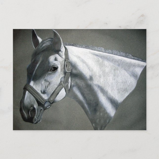 Grau on Gray Equine Art Postkarte (Vorderseite)