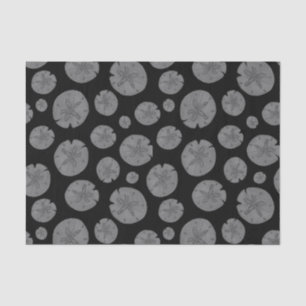 Grau Sand Dollar auf schwarzem Halloween Seidenpapier