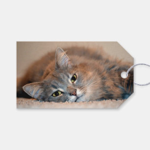 Grau, TAN, weiße langhaarige Katze durch Shirley Geschenkanhänger